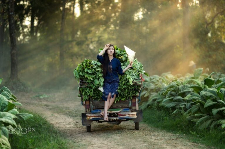 Cascading Dropdown Ajax